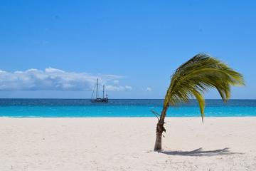 Barbados Activity from Viator