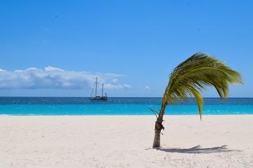 Barbados Activity from Viator