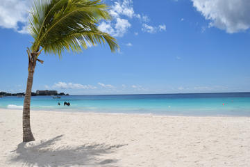Barbados Activity from Viator
