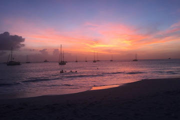 Barbados Activity from Viator