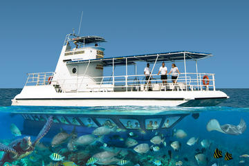Cayman Islands Activity from Viator