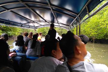 Malaysia Activity from Viator