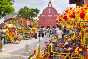 Malaysia Activity from Viator