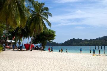 Malaysia Activity from Viator