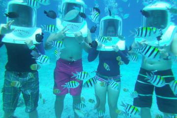 Philippines Activity from Viator