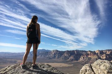 Nevada Activity from Viator