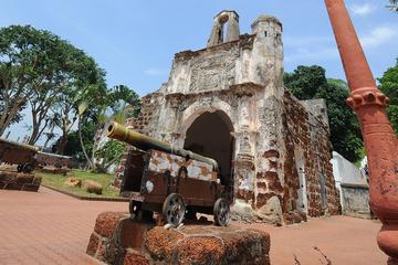 Malaysia Activity from Viator