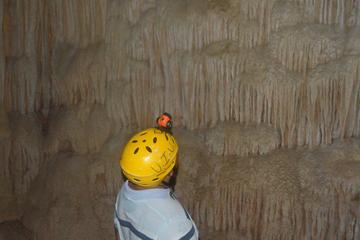 Belize Activity from Viator