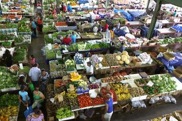 Trinidad and Tobago Activity from Viator