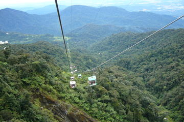 Malaysia Activity from Viator