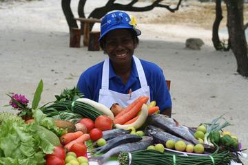 Vanuatu Activity from Viator