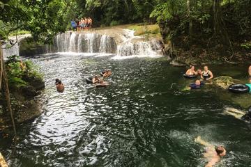 Vanuatu Activity from Viator