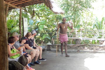 Vanuatu Activity from Viator