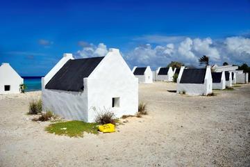 Bonaire Activity from Viator