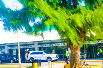 Saint Lucia Activity from Viator