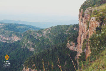 Uganda Activity from Viator