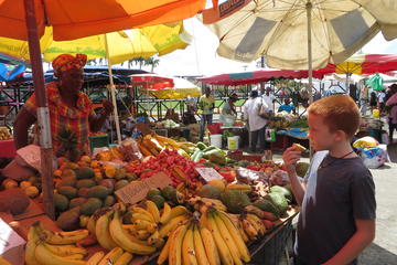 Guadeloupe Activity from Viator