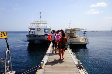 Guadeloupe Activity from Viator