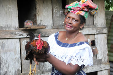 Guadeloupe Activity from Viator