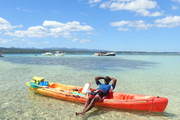 Guadeloupe Activity from Viator