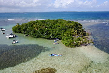 Guadeloupe Activity from Viator