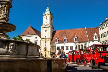 Slovakia Activity from Viator