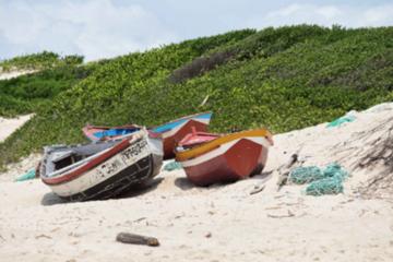 Mozambique Activity from Viator