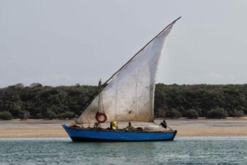 Mozambique Activity from Viator