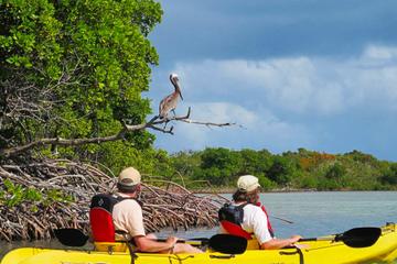 US Virgin Islands Activity from Viator