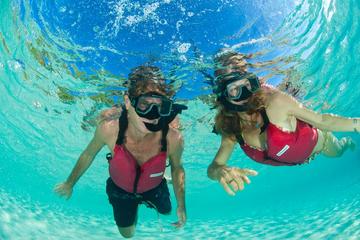 US Virgin Islands Activity from Viator