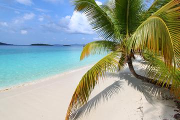 US Virgin Islands Activity from Viator