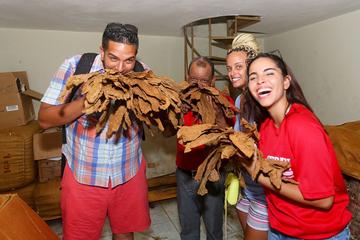 Dominican Republic Activity from Viator