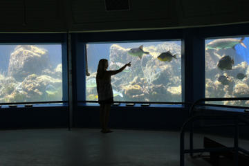 US Virgin Islands Activity from Viator