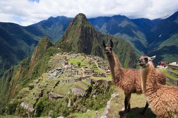 Peru Activity from Viator