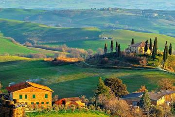 Italy Activity from Viator