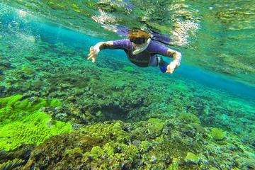 Tonga Activity from Viator