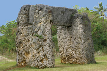 Tonga Activity from Viator