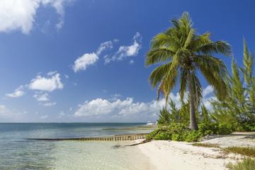 British Virgin Islands Activity from Viator