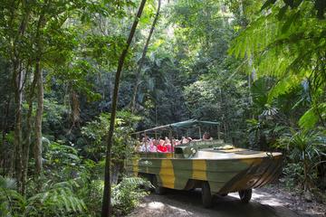 Australia Activity from Viator