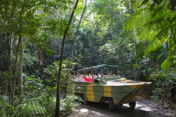 Australia Activity from Viator