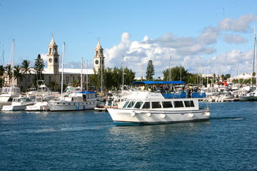 Bermuda Activity from Viator
