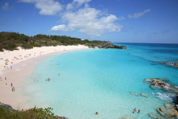 Bermuda Activity from Viator