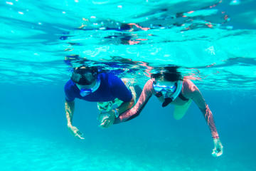 Bermuda Activity from Viator