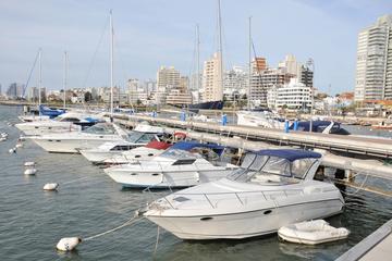 Uruguay Activity from Viator