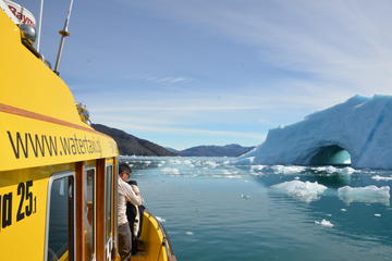 Greenland Activity from Viator