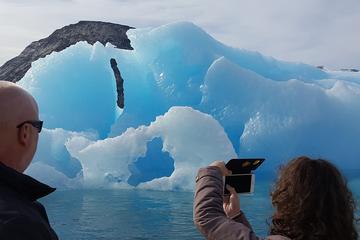 Greenland Activity from Viator