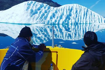 Greenland Activity from Viator