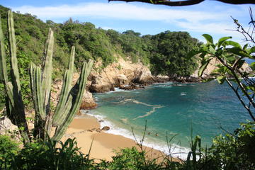 Mexico Activity from Viator