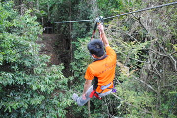 Malaysia Activity from Viator