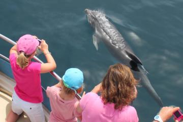 Gibraltar Activity from Viator